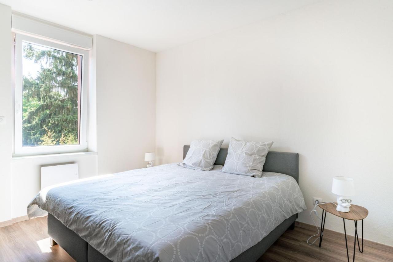 Gemuetlich 4 Apartment Wissembourg Ngoại thất bức ảnh